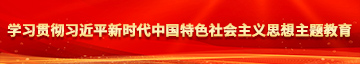 操河南老女人逼学习贯彻习近平新时代中国特色社会主义思想主题教育