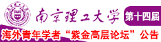 巨乳扣逼少妇被c南京理工大学第十四届海外青年学者紫金论坛诚邀海内外英才！